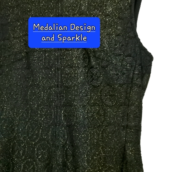 Fairygoth Black Dress Sparkle Lace & Silk Sleeveless Pleats Medallion Vampire Sm - Picture 6 of 14